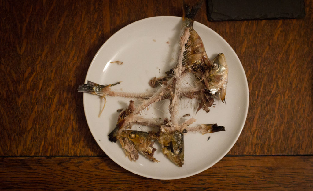 A plate of sardine bones